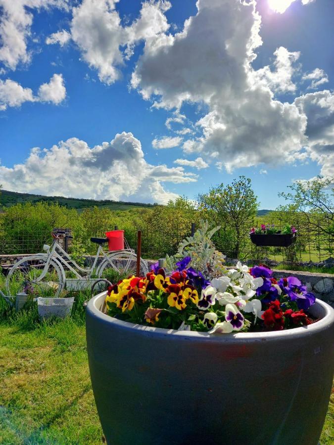 Vikendica Vlahic, Goranci Villa โมสตาร์ ภายนอก รูปภาพ